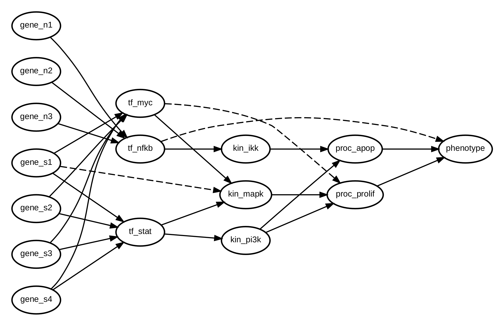 Genes feed transcription factors, then kinases, then cellular processes, and finally one phenotype node; three dashed edges skip a layer.